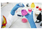 Protein Analysis Lab - Discover Your Results Today!