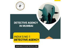 Top Detective Services in Mumbai | Wolfeyedetective