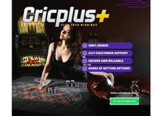 Log In to Cricplus - Your Gateway to Premier Online Cricket Betting
