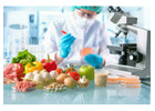 Enhance Care Home Food Safety Online