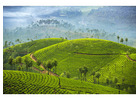 Looking For A Perfect Summer Escape? Plan A Munnar Tour!