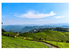 No More Waiting! Plan Your Munnar Trip on a Budget