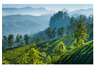 It's the Evergreen Munnar Tour at a Bargain Package Price!
