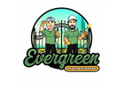 Evergreen Electric Gates And Fences