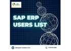 Reach SAP ERP Users Worldwide with Our Email List