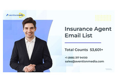 “Obtain 96% Conversions With Our Insurance Agent Email List ”