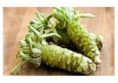 Growing Wasabi 150 Seeds, hand Crafted Goods at The Rike