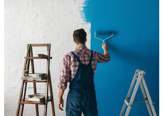 Hire Professional Painters in Newcastle for Flawless Finishes