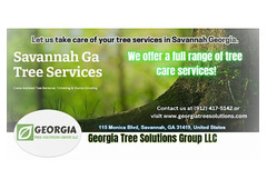 Georgia Tree Solutions Group LLC