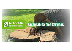 Georgia Tree Solutions Group LLC