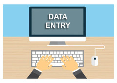 Data Entry Projects