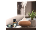 Enhance your health with every breath by elevating your home environment