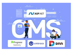 Top .NET-Based CMS Platforms: Best Choices for 2024