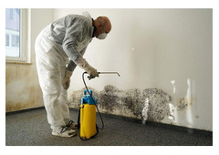 Professional mould removal services to improve indoor air quality and eliminate health hazards.