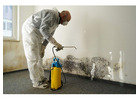 Professional mould removal services to improve indoor air quality and eliminate health hazards.