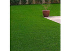 Premium Artificial Grass Carpet in Dubai – Stylish & Durable Flooring Solutions